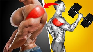 6 Best Rear Delts Exercises Naturally [upl. by Bartie]