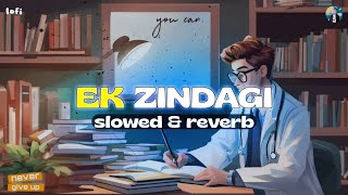 Ek Zindagi Slowed  Reverb  Angrezi Medium  Sabki Rok Hai Tok Hai [upl. by Burrton]