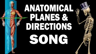 ANATOMICAL PLANES AND DIRECTIONS SONG [upl. by Lihas861]