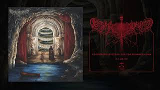 COSMIC PUTREFACTION  Amniotic Bewilderment official audio [upl. by Asus]