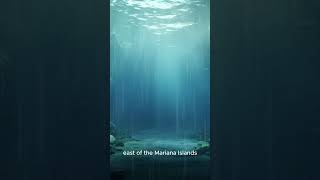 Explore the Depths Mariana Trench Facts You Didn’t Know sea funfact facts [upl. by Willi]