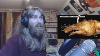 UNDERWATER AWESOMENESS  Ryan Reacts to 8 Strange New Deep Sea Creatures [upl. by Nennahs]