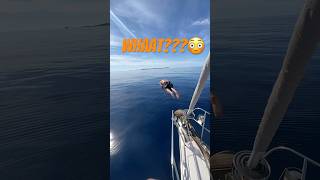 Poros Greece epic jump [upl. by Reldnahc466]