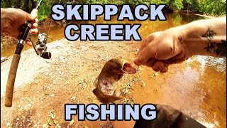 SKIPPACK CREEK Spring 2019 FISHING [upl. by Enomar]