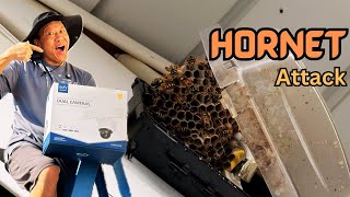 Eufy Wired Floodlight Cam E340 Installation Disaster Attacked by Hornets [upl. by Sivam311]