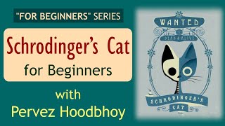 quotFor Beginnersquot Series  Lecture 6 Schrodinger’s Cat for Beginners [upl. by Nnylahs]