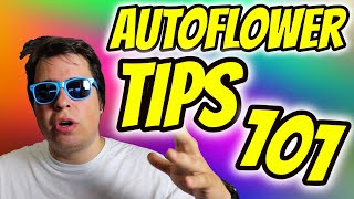 AUTOFLOWER TIPS FOR BEGINNERS [upl. by Saticilef]