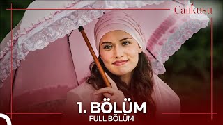 Çalıkuşu 1 Bölüm [upl. by Abeu]