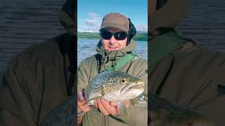 Loch Fyne Fishing holiday Sea Trout paradise [upl. by Emorej]