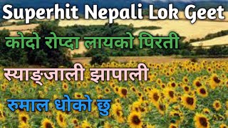 Superhit Nepali Lok Geet  Kodo Ropda Layeko Pirati  Syangjali Jhapali  Rumal Dhoko chhu [upl. by Englis]