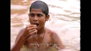 Young boys search for coins in Ganges river [upl. by Sulokcin612]