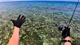 Flats Fishing On Tropical Island  Maldives Fishing For Reef Fish [upl. by Ayotna]