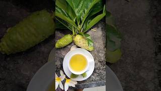 Noni Tea in 60 sec 😍 🌿 shorts cookingshorts [upl. by Stargell]