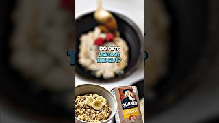 Do OATS actually DESTROY the gut breakfast [upl. by Arthur]