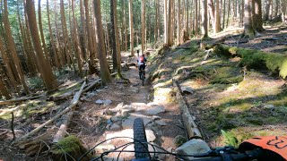 Mt Seymour  Ned’s Atomic Dustbin Bottletop ONBOARD FIRSTTIME MTBIKER [upl. by Sotnas]