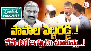 Chandrababu On Peddi Reddy Ramachandra Reddy  PUNGANUR  sumantvannamayyadistrict [upl. by Stepha]