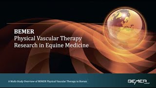 BEMER Physical Vascular Therapy Research in Equine Medicine [upl. by Enalahs]