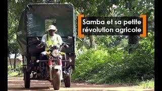 Guinée  Samba et sa petite révolution agricole [upl. by Ilonka]