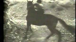 Frankie Darro in The Devil Horse  1932  clip 2 [upl. by Maharva938]