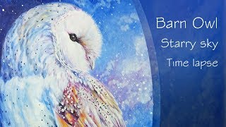 Watercolor pencil painting  Barn Owl and Starry sky [upl. by Hanikehs131]