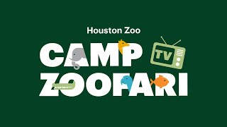 Camp Zoofari TV Episode 1 [upl. by Lorrin375]