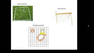 BTEC Applied Science Unit 3 Biology Investigating Distribution [upl. by Laemaj]