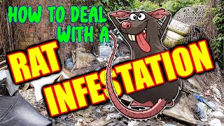 Getting rid of rats The Ratbasher way [upl. by Aiket]