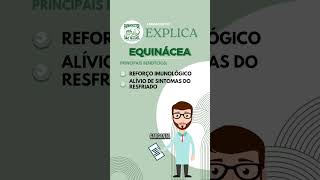 Farmacêutico Explica Equinácea [upl. by Dagall]