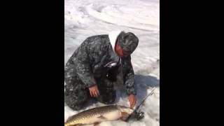 20lb Pike [upl. by Abner635]