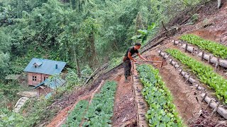 Build a terraced garden on a steep mountainside Grow pumpkins soybeans and radishes [upl. by Aramac]