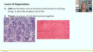 Physiology 1  Basic Concepts [upl. by Lodovico]