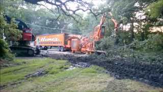 Giant Tree Shredder  Large Wood Chipper Devouring Whole Trees  HD Video [upl. by Wing]