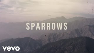 Jason Gray  Sparrows Official Lyric Video [upl. by Renata]