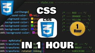 Learn CSS in 1 hour 🎨 [upl. by Llereg]