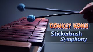 Donkey Kong  Stickerbrush Symphony 🎨 [upl. by Carnes]