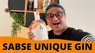 Best Gin Under Rs 1500  SABSE UNIQUE GIN  City Ka Theka [upl. by Wilder]