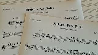 Meixner Pepi Polka  Stefan Unterberger [upl. by Noevart]