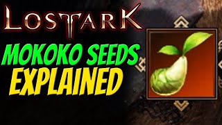 MOKOKO SEEDS EXPLAINED in Lost Ark  All Rewards amp Why to collect [upl. by Quickel]