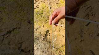 Incredible knot for tentcamping short adventure [upl. by Naus]