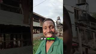 Why I Build 2Storey Chicken Houses farmup chickenfarm farmpreneur [upl. by Murat]