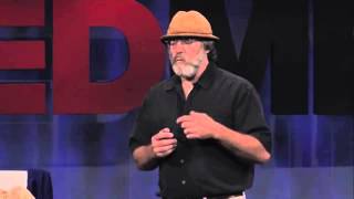 Paul Stamets on Cordyceps Benefits [upl. by Sanderson513]