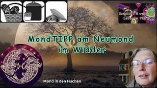 080424 Neumond im Widder 1 MondTIPP [upl. by Atsedom]