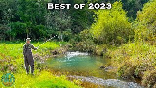 THE BEST FLY FISHING  TROUT FISHING VIDEO Best of Compilation  2023 [upl. by Phares]