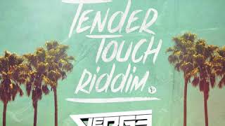 Dj Sledge Tender Touch Riddim Mix [upl. by Ynnus]