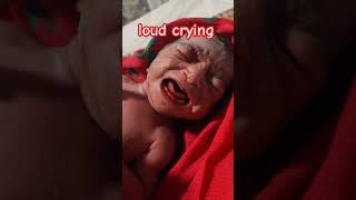 Loud crying Newborn cryingbaby love shortsfeed [upl. by Ridinger31]