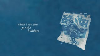 Conan Gray  Holidays Official Lyric Video [upl. by Ailsa135]