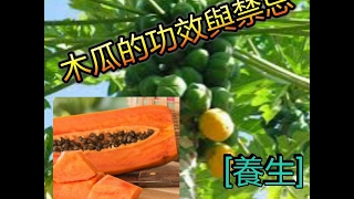 木瓜的功效與禁忌！還有美容養顏功效！ [upl. by Asilej]