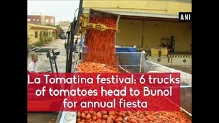 La Tomatina festival 6 trucks of tomatoes head to Bunol for annual fiesta  Spain News [upl. by Ula]