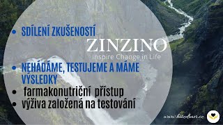 Zinzino  Zkušenosti  Sdílení zkušeností s užíváním Zinzino quotzdravotního protokoluquot [upl. by Eenolem38]