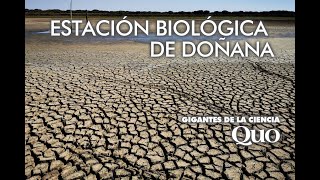 Gigantes de la Ciencia Estación Biológica de Doñana [upl. by Mcclees550]